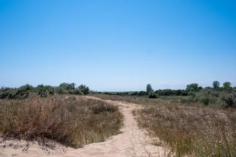 Road in middle of the dunes Stock Photos
