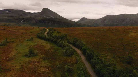 Road in the middle of fields and trees Stock Footage 255731048