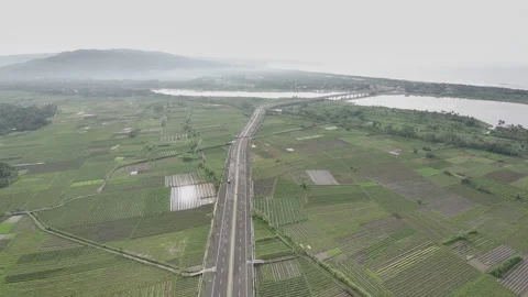 The road in the middle of the fields Stock Footage 231739297