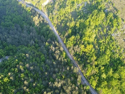 Road in middle of forest birds view with some cars and bus Video stock 75473822