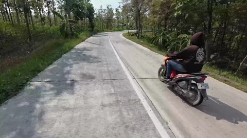 Road in the middle of the forest of Blora, Central Java, Indonesia Stock Footage 314809738