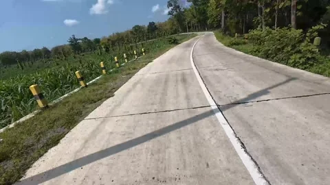 Road in the middle of the forest of Blora district, Central Java, Indonesia 動画素材 314809726
