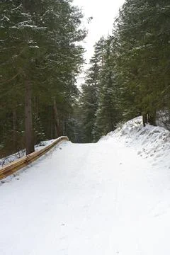 The road in the middle of the forest covered with snow in winter. Stock Photos