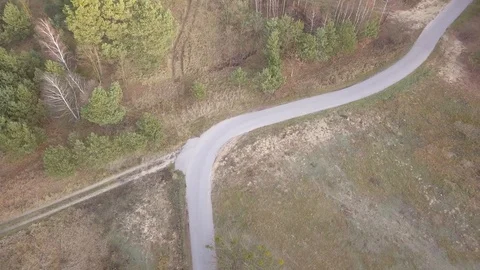 Road in the middle of the forest. Stock Footage 99939533