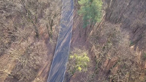 Road in the middle of the forest. Stock Footage 99945300