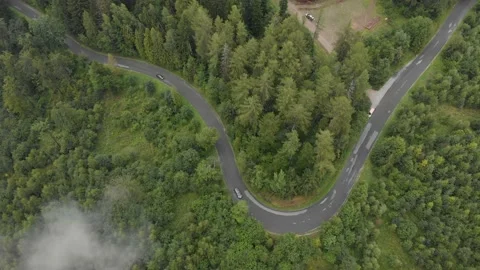 Road in the middle of the forest Stock Footage 146307615