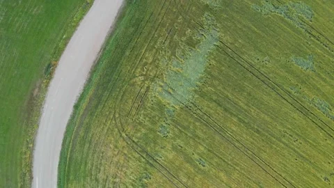 Road in the middle of grain fields. Aerial sunrise shot. Stock Footage 170136292