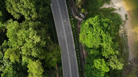 Road in the middle of jungle Stock Footage 153641958