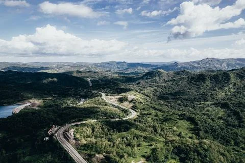 Road in the middle of a jungle Stock Photos