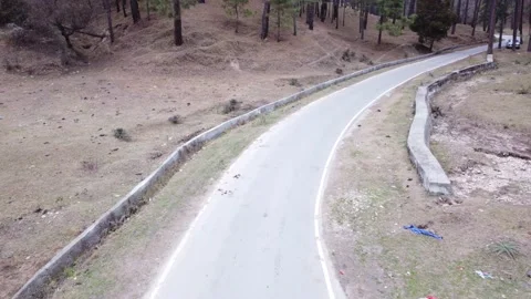 Road in the middle of the jungles Stock Footage 170101930
