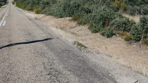 Road in the middle of nowhere, a shadow walking Stock Footage 138901287