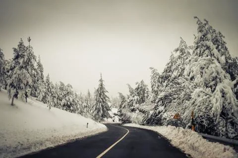 Road in the middle of the snow Stock Photos