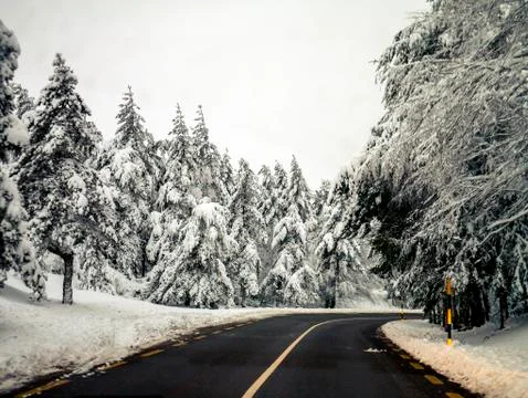 Road in the middle of the snow Stock Photos