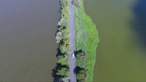 Road in the middle of the swamp Video stock 80367682