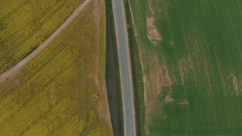 The road in the middle of two different fields Stock Footage 130636324