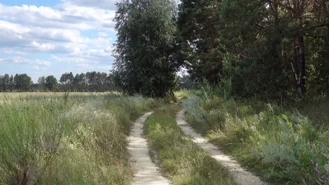 Road in the Middle.Camera Approach Видео 79169275