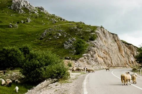 The road in Montenegro Stock Photos