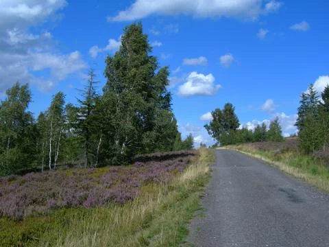 Road in the moor Stock Photos
