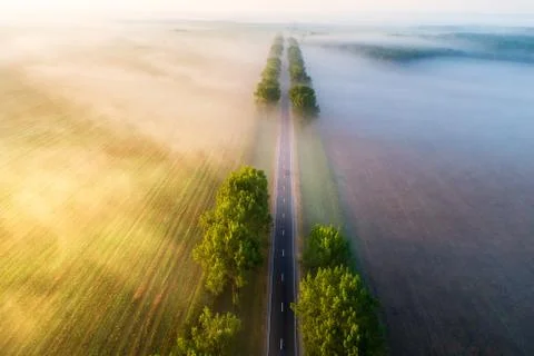 Road in  the morning Stock-Fotos