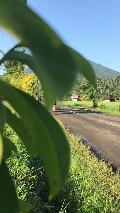 Road to mountain Video stock 198720004