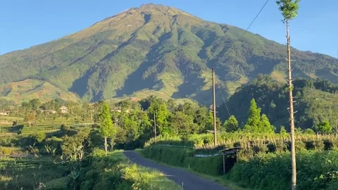 Road in the mountain 库存影片 242034975