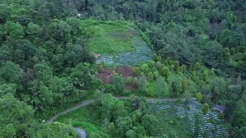 A road in a mountain forest 動画素材 262818502
