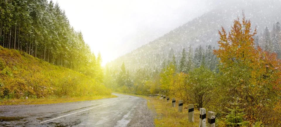 Road in the mountain forest Stock Photos