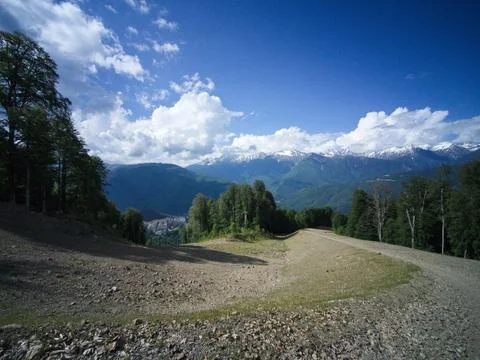 Road in mountain forest Stock Photos