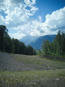 Road in mountain forest Foto stock