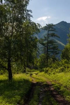 Road in the mountain Stock Photos