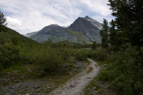 Road in the mountain Stock Photos