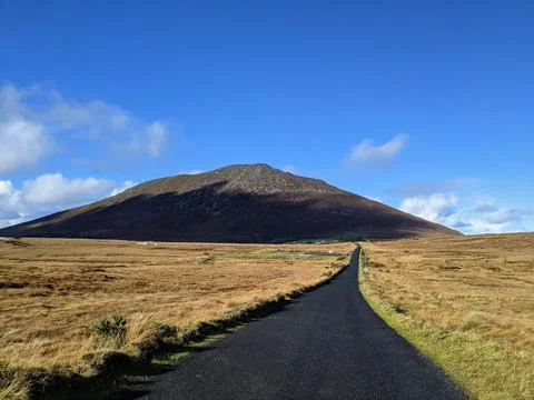 Road to the mountain 库存照片
