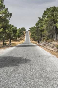 Road in the mountain Road in the mountain. Dramatic scene ,model released,... Stock Photos
