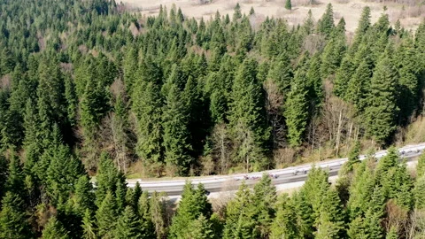 A road in a mountainous area. A group of cyclists is moving along the track Stock Footage 204917246