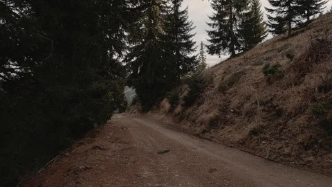 Road with mountains and forest while sunset in Rocky Mountains Stock Footage 128923465