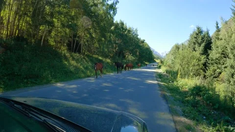 Road to the mountains by car 動画素材 159473483