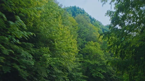 Road in the mountains of the Caucasus Video stock 97588713