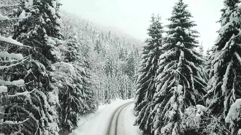 Road in the mountains covered with snow. Winter landscape. Video stock 101197219