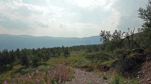 Road in the mountains Stock Footage 42876827