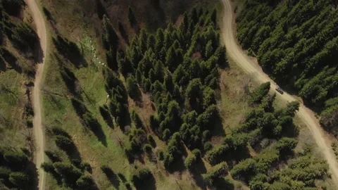 Road in mountains 스톡 동영상 169727213