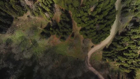 Road in the mountains 스톡 동영상 169727221