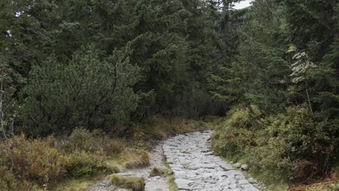  Road in the mountains.  Stock Footage 238829799