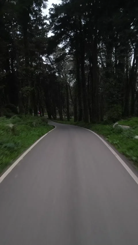 Road to the mountains Stock Footage 299130183