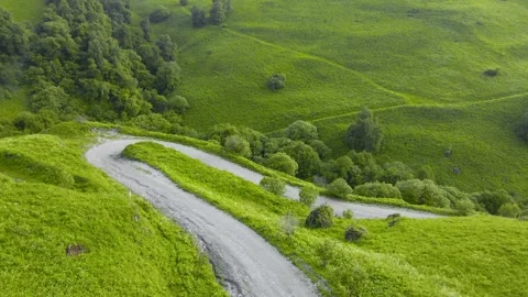 Road in the mountains. Hills with trees and green grass. Video stock 232196869