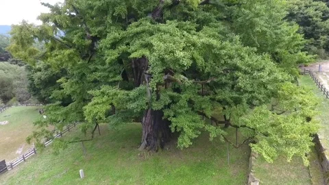 Road in the mountains, path in the mountain Stock-Footage 310161297