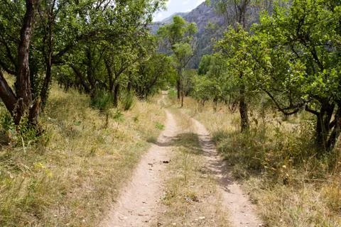 Road in the mountains Stock Photos