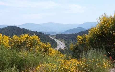 Road in the mountains Stock Photos