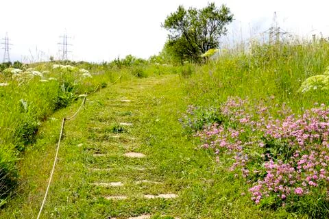 Road in the mountains Stock Photos