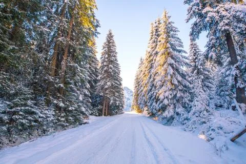 Road in mountains Stock Photos