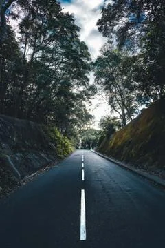 Road in mountains Stock Photos